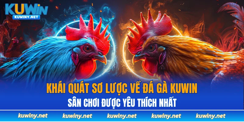 Khái quát sơ lược về đá gà KUWIN